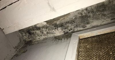 'It's no way to live' — Dublin residents living in horror mould-ridden flats
