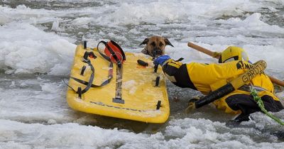 Lucky dog rescued from frozen river after owner jumped in three times to save him