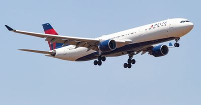 Delta plane passenger claims flight attendant told his wife she has a 'stupid face'