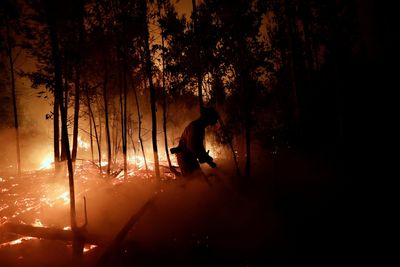 Chile heat wave could further fan the flames of deadly wildfires