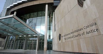 Thug who repeatedly scalded woman with boiling water in horror Dublin apartment assault jailed