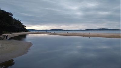 Quicksand warning at Tasmanian beach — but expert says threat is minimal