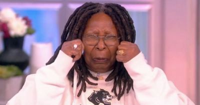 The View's Whoopi Goldberg takes aim at viewers by fake crying and yelling 'boo hoo'