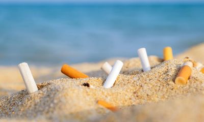 ‘War on cigarette butts’: Coalition plan to reduce pollution ‘never existed’, Tanya Plibersek says