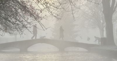 Huge swathe of the country including London hit by severe freezing fog warning