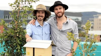 Wollongong CBD rooftop car park a native bee sanctuary designed to educate and boost biodiversity