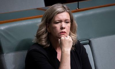 Liberal MP Bridget Archer ‘open-minded’ on Labor’s push to overhaul climate safeguard mechanism
