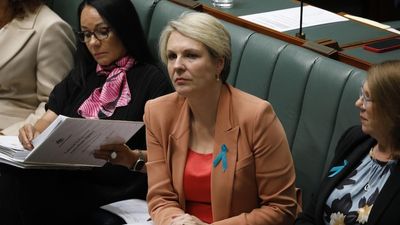 Environment Minister Tanya Plibersek blocks Clive Palmer's Central Queensland coal mine