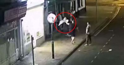 Drunk thug smashed seagull against brick wall