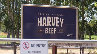 WA police arrest Harvey Beef worker, look for two other men, over alleged rape
