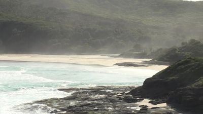 Man and woman drown at Frazer Beach on NSW Central Coast north of Sydney