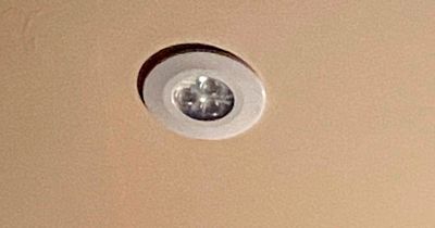 Woman spots 'image of Shakespeare' in her ceiling light