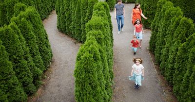 Enter our free National Trust Family Day Pass giveaway with 10,000 up for grabs