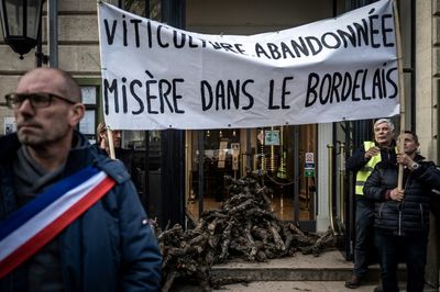 France to turn wine into industrial alcohol to battle surplus