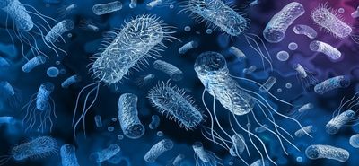 Researchers Reveals How Antibiotic Helps To Fight Against Superbugs