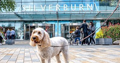 Glasgow's Silverburn to stop dog friendly shopping trial amid 'dog poo' spotted in food court