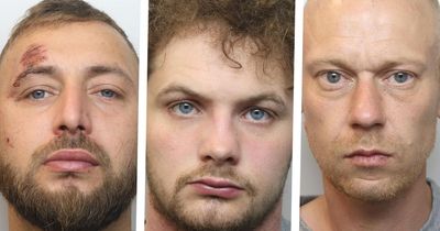 Gang found hiding in gardens after smashing into shop