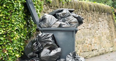 Council plans monthly black bin collections and closing children's play areas to save money