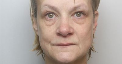 Woman set three fires in her home then went to bed