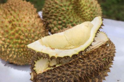 Yala durian registered as GI product