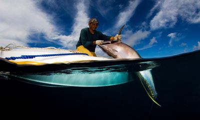 Deal to curb harmful fishing devices a ‘huge win’ for yellowfin tuna stocks