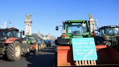 French farmers stage tractor protest in Paris to denounce pesticides ban
