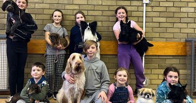 Perthshire Canine Club hope to get training award at gala night before Crufts