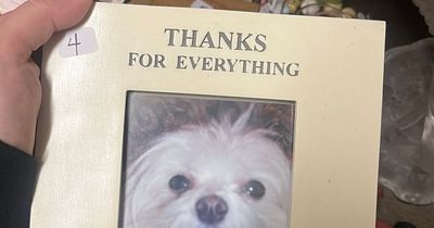 Tearful woman finds photo of stranger's late dog in charity shop - with sweet message