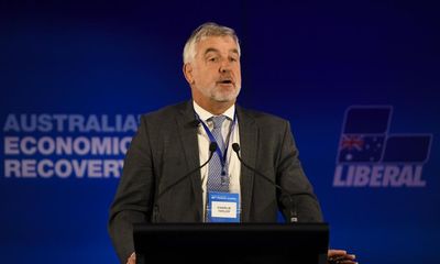 Dominic Perrottet defends appointment of Liberal donor brother of Angus Taylor to NSW body