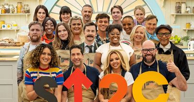 Celebrity Bake Off 2023 full line-up from David Schwimmer to Jesy Nelson