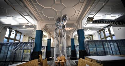 Manchester Museum re-launching with ‘Museum Lates’ film and music nights
