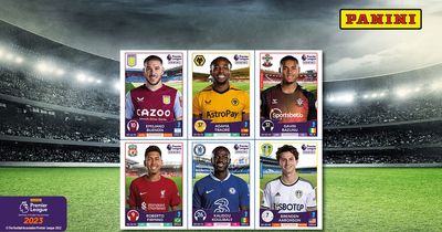 FREE Panini Premier League Stickers with this weekend’s Daily Mirror and Sunday Mirror - twelve to collect!