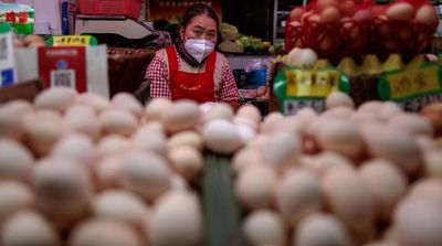 WHO: Risk to Humans from H5N1 Bird Flu Remains Low but We Must Prepare