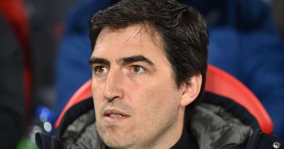 Celtic relief as Andoni Iraola issues Leeds come and get me plea amid Ange Postecoglou links