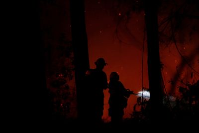 Chilean wildfires destroy hundreds of homes, endanger world's smallest deer