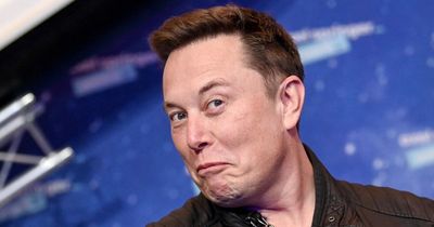 Elon Musk announces he will unveil 'Master Plan 3' for humanity next month