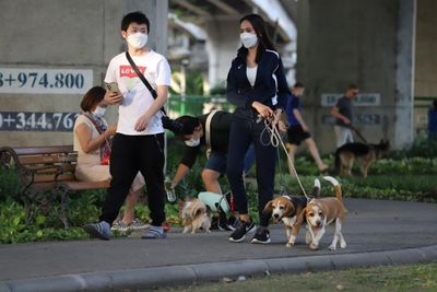 'Petsumer' trend emerges