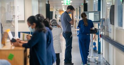 Student nurse applications tumble by almost a third since height of Covid pandemic