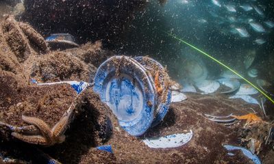 Wreck of ship carrying rare ‘ordinary’ crockery wins protection off Kent coast