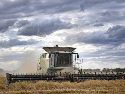 Outlook rosy for farmers despite cost pressures