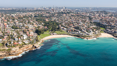 Sydney Dog Owners Put On High Alert After 3 Suspected Dog Poisonings At The Same Park
