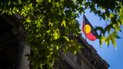 First Nations Voice legislation greeted with standing ovation and cheers in SA parliament