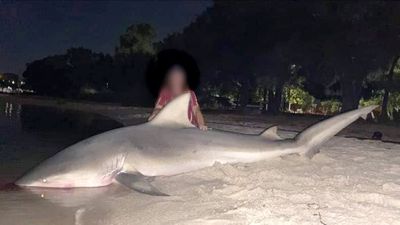 Alert issued as photos emerge of large bull shark caught in Swan River, days after Stella Berry's death