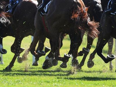 Racing integrity complaints up by more than 60 per cent