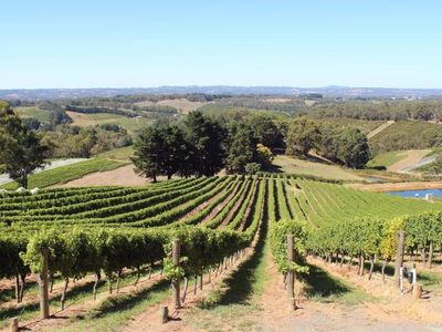 SA knocks back Adelaide Hills goldmine