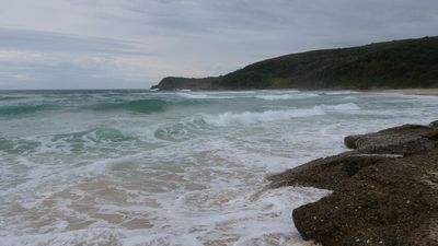 NSW drownings prompt calls to extend lifeguard services on national park beaches