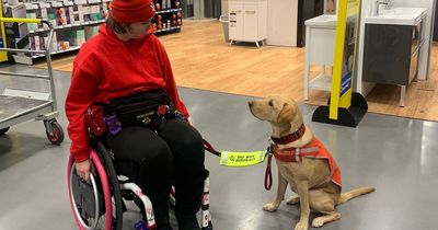 Cribbs Causeway shopper's assistance dog attacked by ‘Chihuahua in handbag’