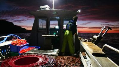 Australia's live rock lobster trade with China hoped to restart