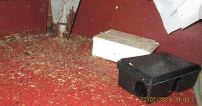 Filthy Indian takeaway forced to close after cockroaches and mice found