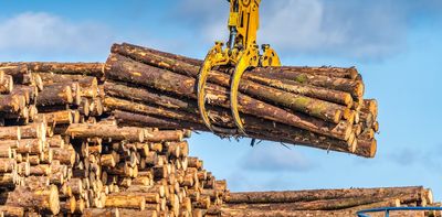 Global supply chains are devouring what's left of Earth's unspoilt forests